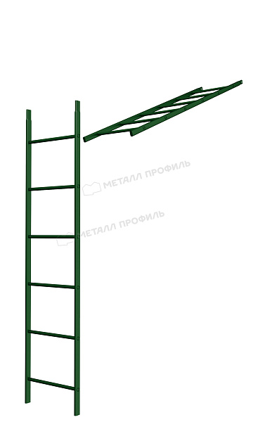 Лестница кровельная стеновая дл. 1860 мм без кронштейнов (6005) ― где заказать в Воронеже? У нас!